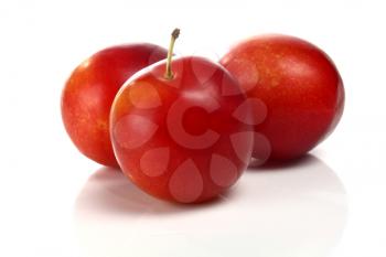 cherry-plum isolated on white background