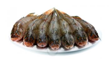 fresh raw fish isolated on white background