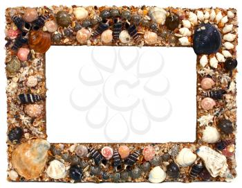 frame for photo from marine cockleshells isolated on white background