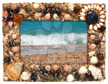 frame from marine cockleshells with the image of sea isolated on white background