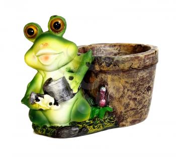 frog a flowerpot isolated on white background