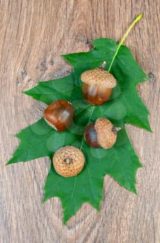 green sheet with acorns on a wooden background