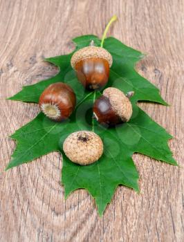 green sheet with acorns on a wooden background
