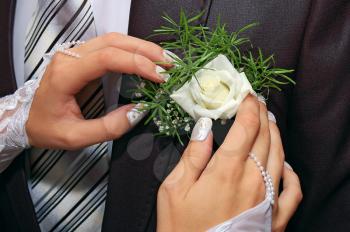 a hands fiancee on the buttonhole of groom