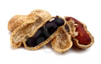 peanut black and brown isolated on white background