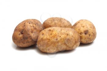 raw brown potato  isolated on white background