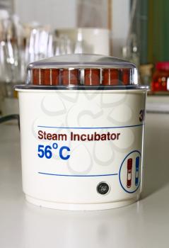 steam incubator for a laboratory