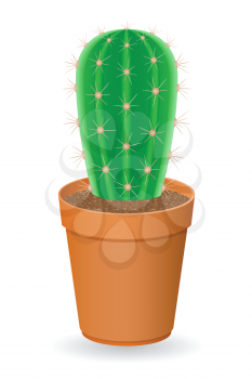 cactus vector illustration isolated on white background