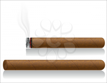cigars vector illustration isolated on white background