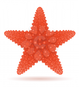 starfish vector illustration isolated on white background