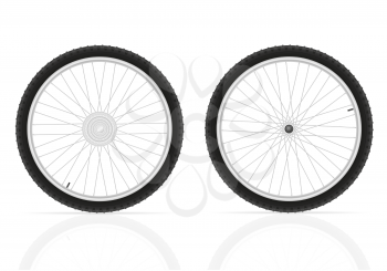 bicycle wheels vector illustration isolated on white background