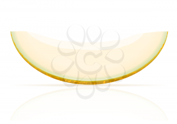 melon ripe juicy vector illustration isolated on white background