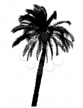 silhouette of palm trees realistic vector illustration isolated on white background