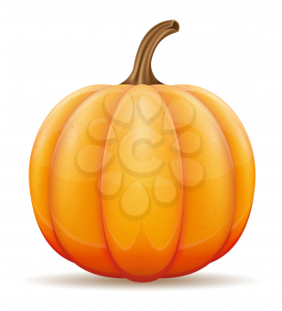 pumpkin vector illustration isolated on white background