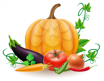 pumpkin and autumn harvest vegetables vector illustration isolated on white background