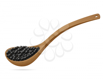 black caviar in wooden spoon vector illustration isolated on white background