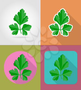 parsley vegetable flat icons with the shadow vector illustration isolated on background