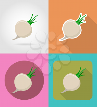 turnips vegetable flat icons with the shadow vector illustration isolated on background