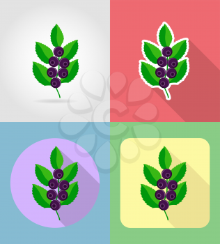 blueberries fruits flat set icons with the shadow vector illustration isolated on background