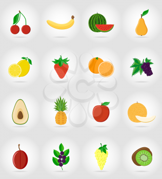 fruits flat set icons with the shadow vector illustration isolated on background