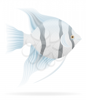 aquarium fish vector illustration isolated on white background