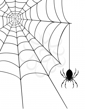 spider web stock vector illustration isolated on white background