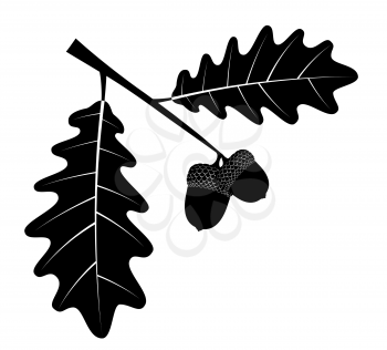 oak acorns with leaves black outline silhouette vector illustration isolated on white background