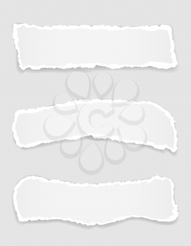 torn paper edge for design with transparent space template and place for text vector illustration