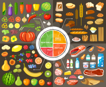 Set of products for healthy food. Plate model. Nutrients. Vector illustration