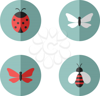 Insects vector round icons set. Vector