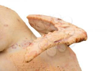 plucked chicken wings on a white background