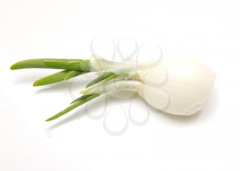 peeled onion on a white background