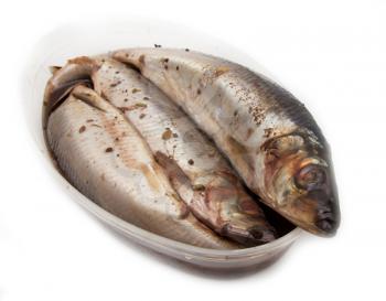 spicy salted herring on a white background