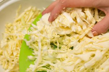 cutting cabbage 