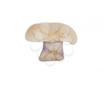 Whole single fresh porcini mushroom isolated on white background 
