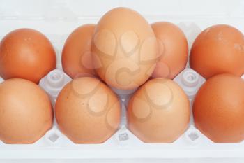 Fresh brown country eggs packaged in a dozen carton 