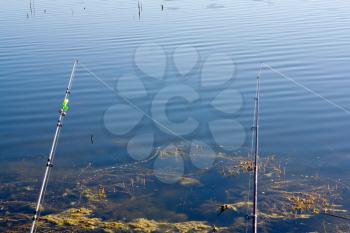 fishing in a calm swedish lake on a sunny day 