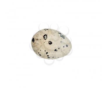 One quail egg. Isolated on white background 