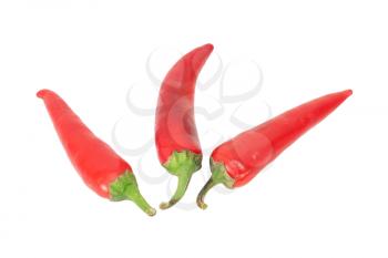 Chili pepper isolated on white background 