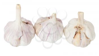 fresh garlic isolated on white 