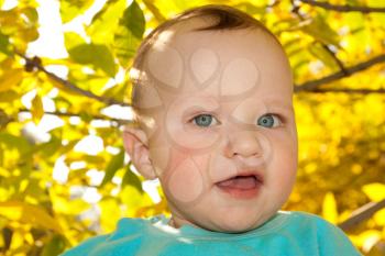 portrait of a baby on the background of the fall