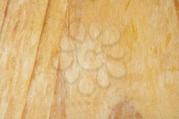 High quality maple wood grain texture. 