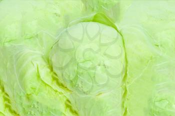 background of green cabbage