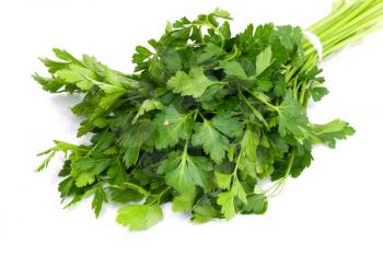 Bunch of Fresh green parsley isolated on white background 

