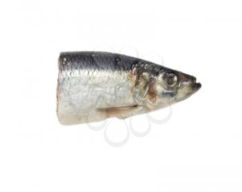 head salty herring on white background 