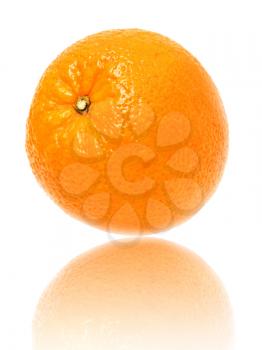 A ripe orange on a white background
