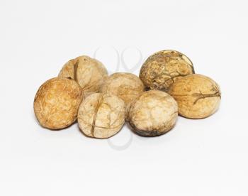 walnuts isolated on white bacground 