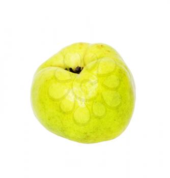 Quince (golden apple) isolated on white background 