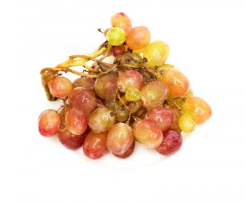 Fresh grape 