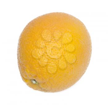 Orange isolated on white background 